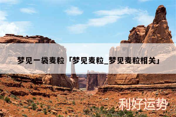 梦见一袋麦粒及梦见麦粒_梦见麦粒相关