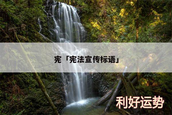 宪及宪法宣传标语