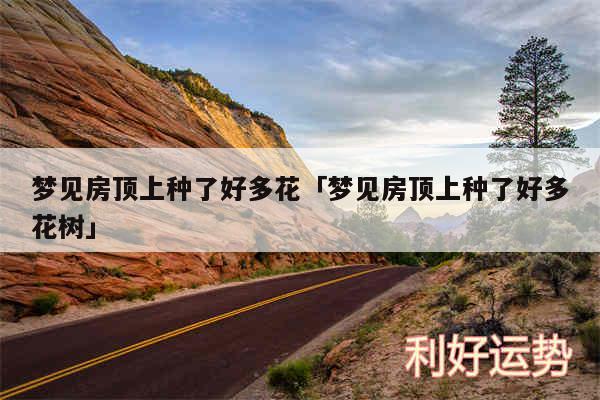 梦见房顶上种了好多花及梦见房顶上种了好多花树