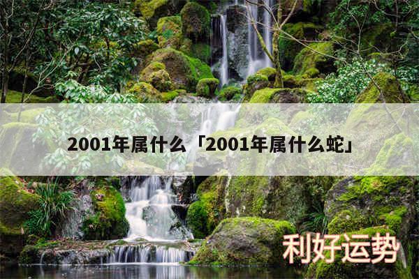 2001年属什么及2001年属什么蛇