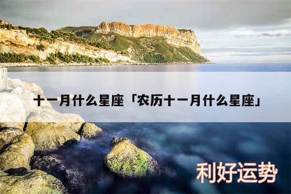 十一月什么星座及农历十一月什么星座