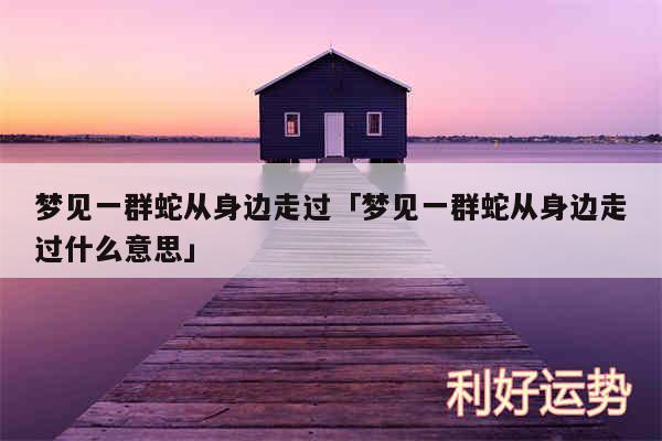 梦见一群蛇从身边走过及梦见一群蛇从身边走过什么意思