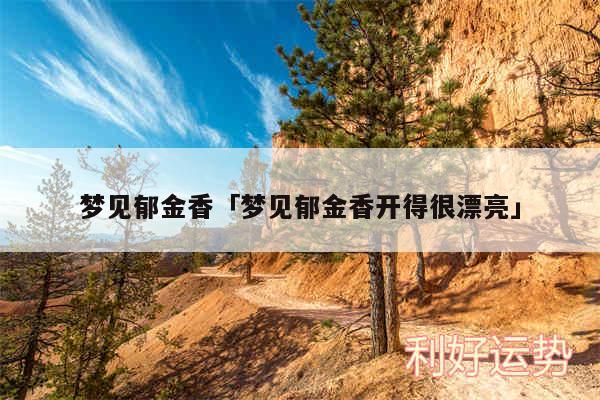 梦见郁金香及梦见郁金香开得很漂亮