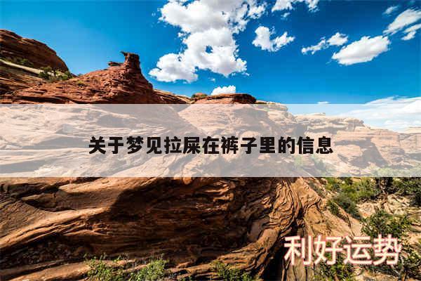 关于梦见拉屎在裤子里的信息