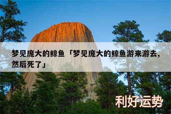 梦见庞大的鲸鱼及梦见庞大的鲸鱼游来游去,然后死了