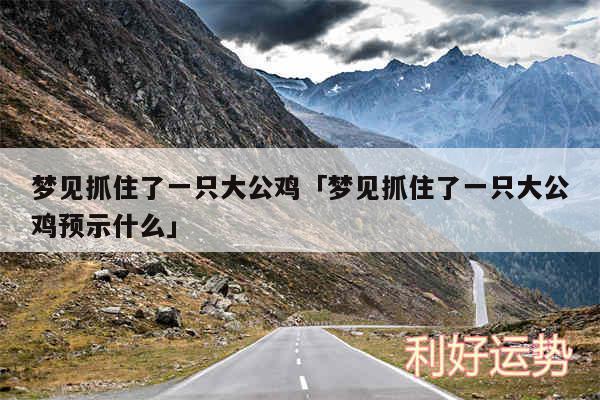 梦见抓住了一只大公鸡及梦见抓住了一只大公鸡预示什么