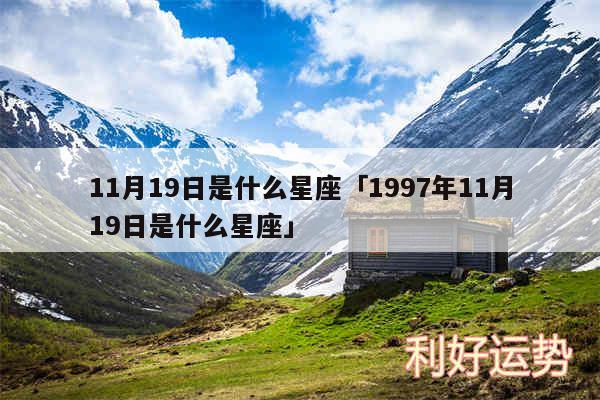 11月19日是什么星座及1997年11月19日是什么星座