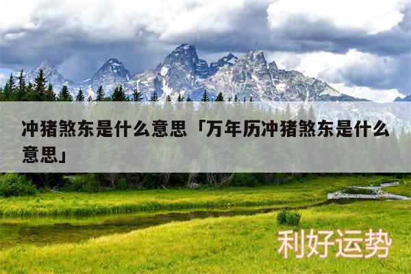 冲猪煞东是什么意思及万年历冲猪煞东是什么意思