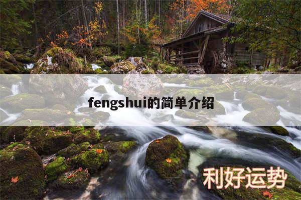 fengshui的简单介绍