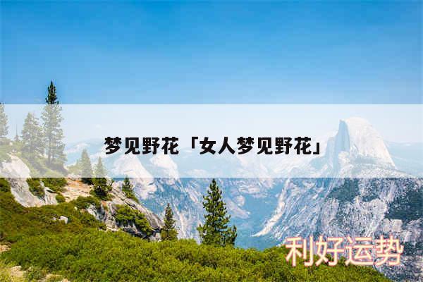 梦见野花及女人梦见野花