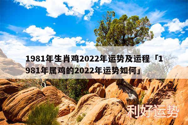 1981年生肖鸡2024年运势及运程及1981年属鸡的2024年运势如何