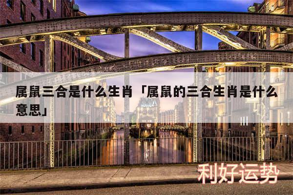 属鼠三合是什么生肖及属鼠的三合生肖是什么意思