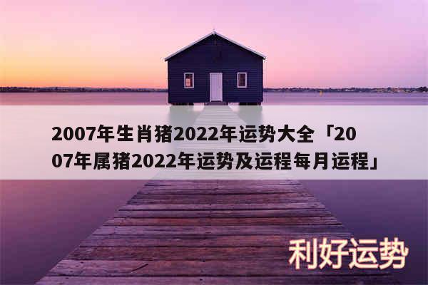 2007年生肖猪2024年运势大全及2007年属猪2024年运势及运程每月运程