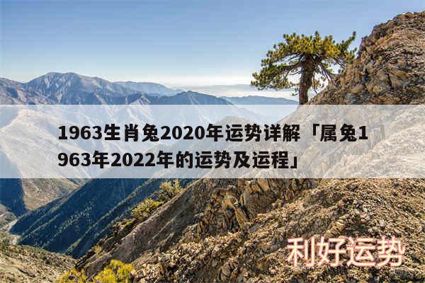 1963生肖兔2020年运势详解及属兔1963年2024年的运势及运程