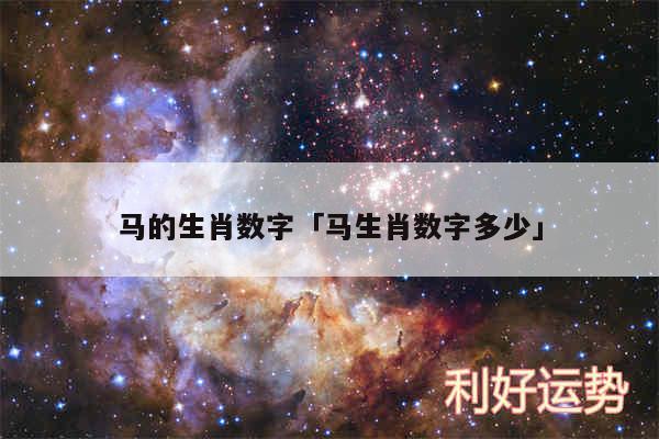 马的生肖数字及马生肖数字多少