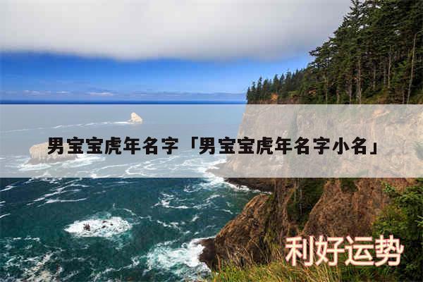 男宝宝虎年名字及男宝宝虎年名字小名