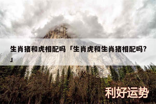生肖猪和虎相配吗及生肖虎和生肖猪相配吗?