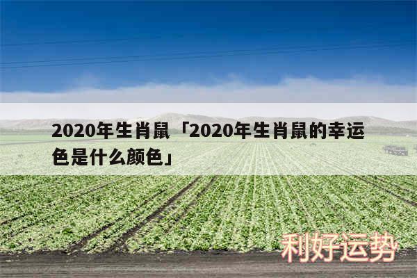 2020年生肖鼠及2020年生肖鼠的幸运色是什么颜色