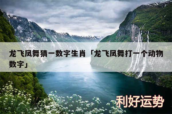 龙飞凤舞猜一数字生肖及龙飞凤舞打一个动物数字