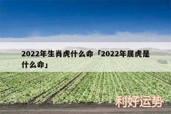 2024年生肖虎什么命及2024年属虎是什么命