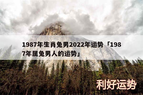 1987年生肖兔男2024年运势及1987年属兔男人的运势