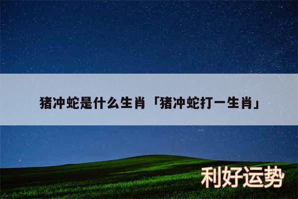猪冲蛇是什么生肖及猪冲蛇打一生肖