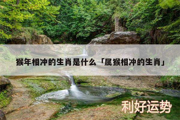 猴年相冲的生肖是什么及属猴相冲的生肖