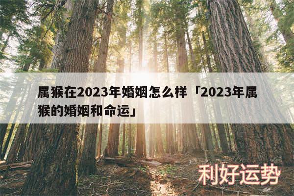 属猴在2024年婚姻怎么样及2024年属猴的婚姻和命运