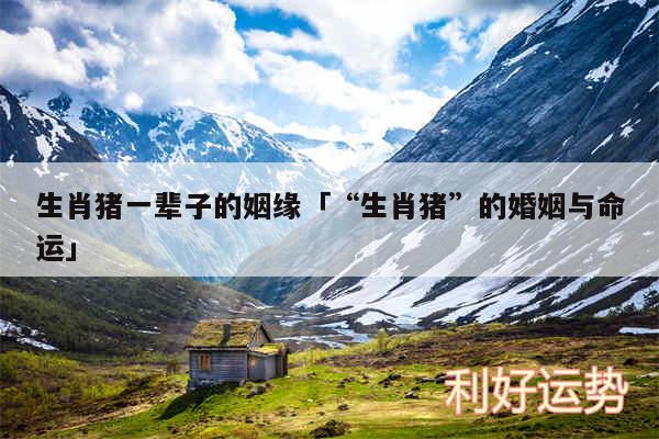 生肖猪一辈子的姻缘及“生肖猪”的婚姻与命运