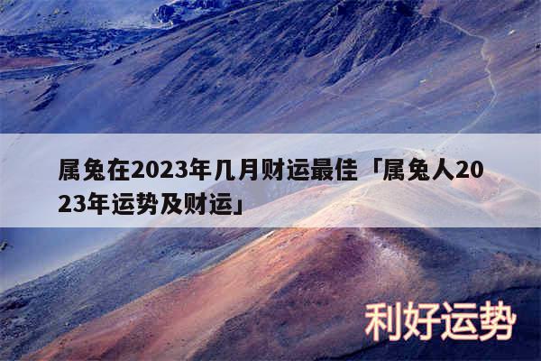 属兔在2024年几月财运最佳及属兔人2024年运势及财运