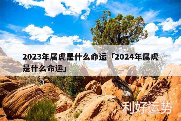 2024年属虎是什么命运及2024年属虎是什么命运