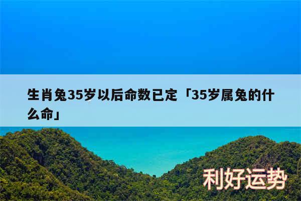 生肖兔35岁以后命数已定及35岁属兔的什么命