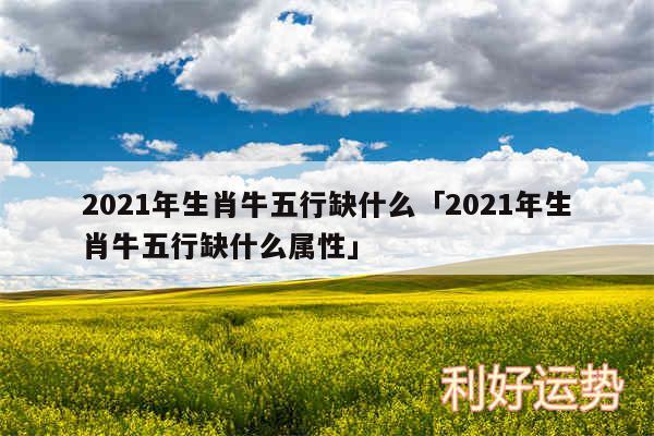 2024年生肖牛五行缺什么及2024年生肖牛五行缺什么属性