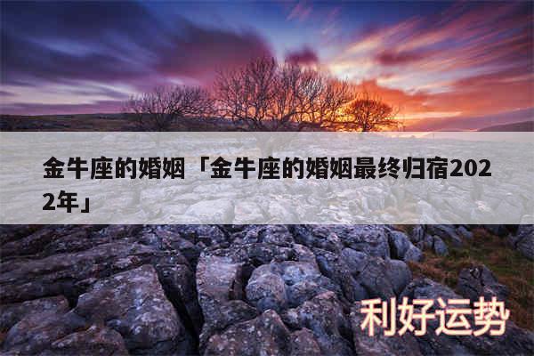 金牛座的婚姻及金牛座的婚姻最终归宿2024年