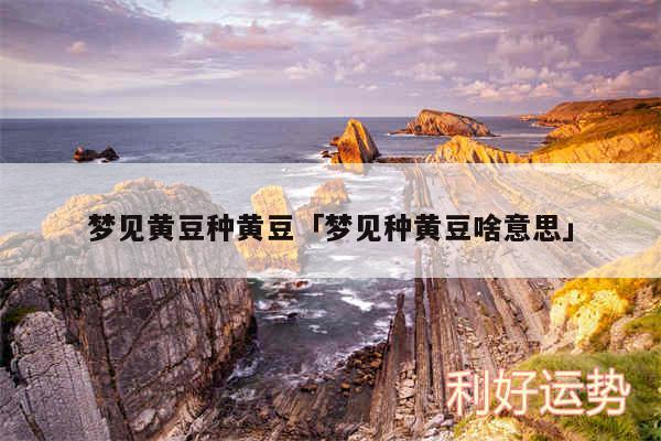 梦见黄豆种黄豆及梦见种黄豆啥意思