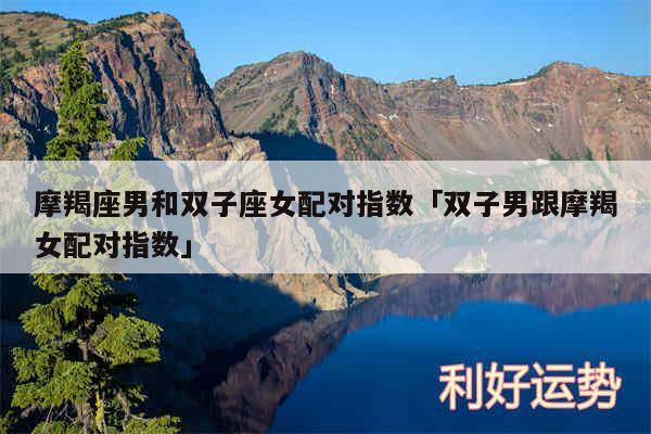摩羯座男和双子座女配对指数及双子男跟摩羯女配对指数