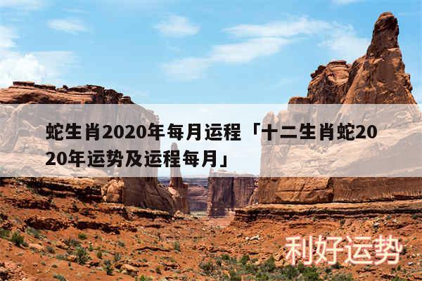 蛇生肖2020年每月运程及十二生肖蛇2020年运势及运程每月