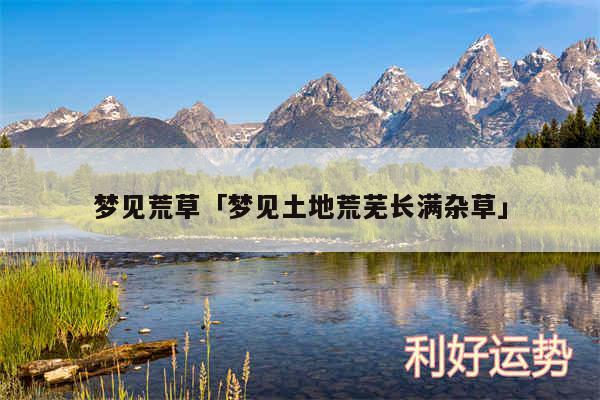 梦见荒草及梦见土地荒芜长满杂草