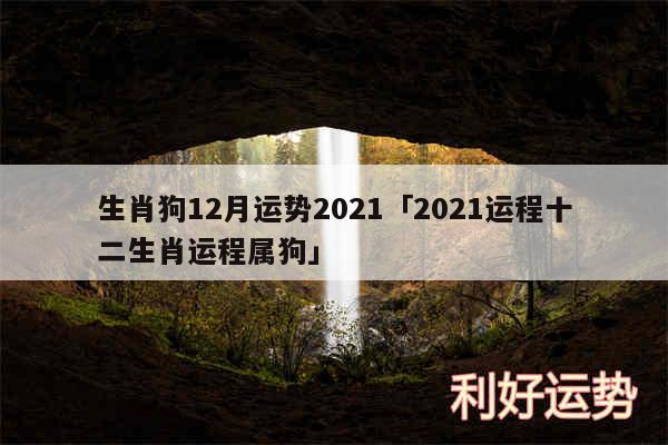 生肖狗12月运势2024及2024运程十二生肖运程属狗