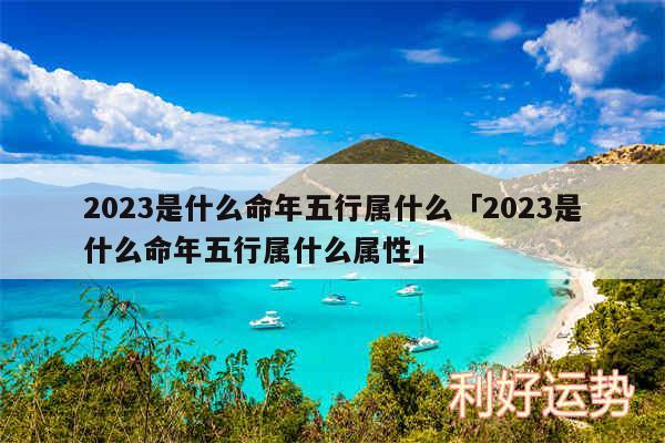 2024是什么命年五行属什么及2024是什么命年五行属什么属性