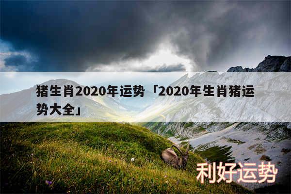 猪生肖2020年运势及2020年生肖猪运势大全