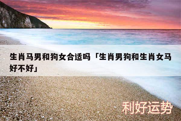 生肖马男和狗女合适吗及生肖男狗和生肖女马好不好