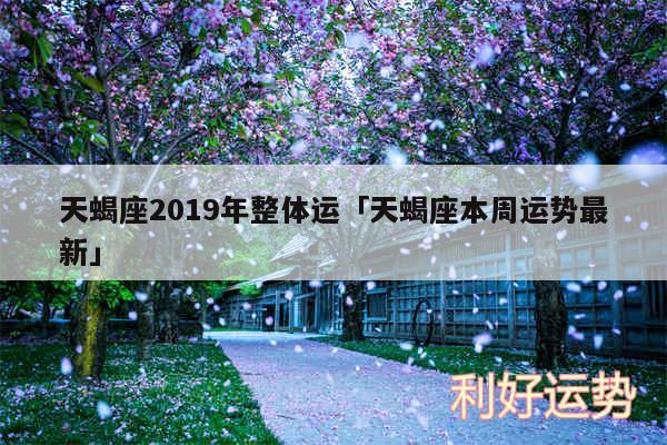 天蝎座2019年整体运及天蝎座本周运势最新