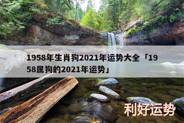 1958年生肖狗2024年运势大全及1958属狗的2024年运势