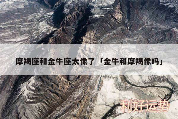 摩羯座和金牛座太像了及金牛和摩羯像吗