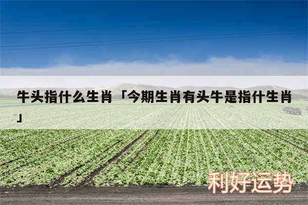 牛头指什么生肖及今期生肖有头牛是指什生肖