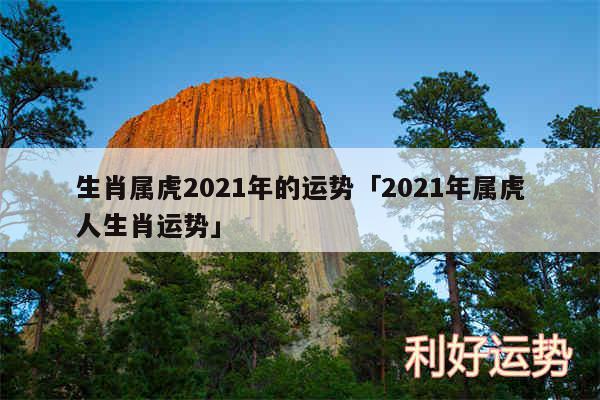 生肖属虎2024年的运势及2024年属虎人生肖运势