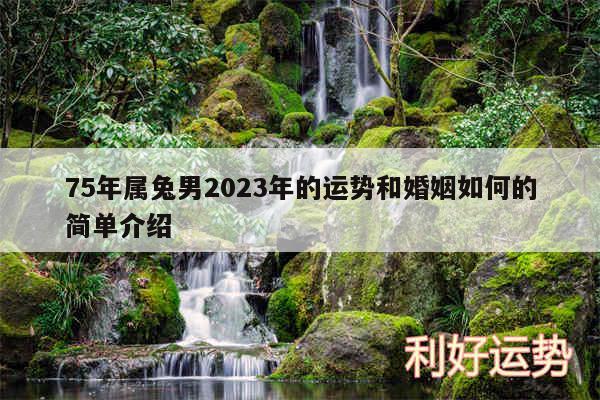 75年属兔男2024年的运势和婚姻如何的简单介绍