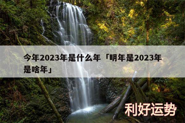 今年2024年是什么年及明年是2024年是啥年