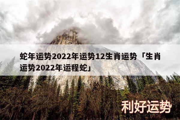 蛇年运势2024年运势12生肖运势及生肖运势2024年运程蛇